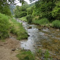 ２０１６ ０６ ０７ 軒山川は売木の町 渓流釣りと里山での出逢い のアルバム みんなの趣味の園芸 Id 2458