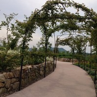 湖山池ナチュラルガーデン とっとり晴れやか庭園 のアルバム みんなの趣味の園芸