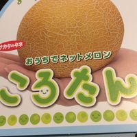 ハミウリを食べたい By オブファーム メロンの栽培記録 育て方 そだレポ みんなの趣味の園芸