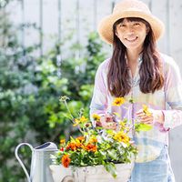 めぃ さんのマイページ みんなの趣味の園芸