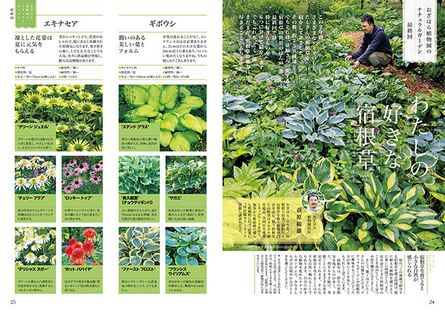 わたしの好きな宿根草～連載「おぎはら植物園のナチュラルガーデン」第